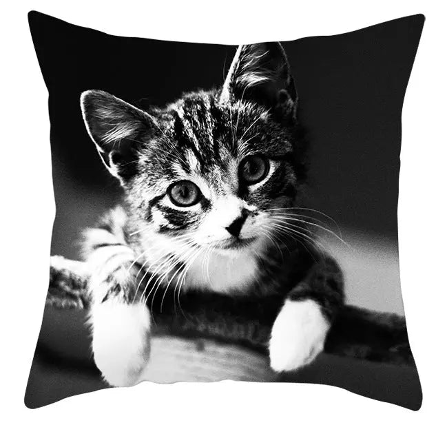 Housse de Coussin Cartoon Animal ANIDECOR DRD918-45x45cm
