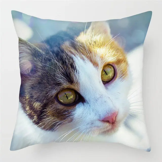 Housse de Coussin Moderne PEACHY 10Style
