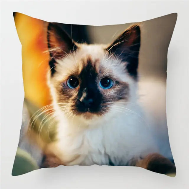Housse de Coussin Moderne PEACHY 4Style