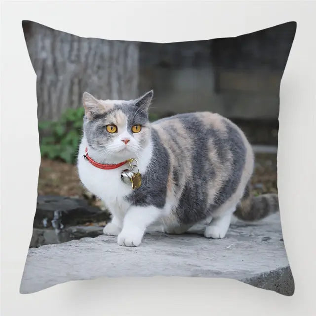 Housse de Coussin Moderne PEACHY 9Style