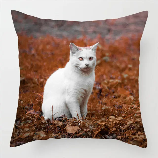 Housse de Coussin Moderne PEACHY 8Style