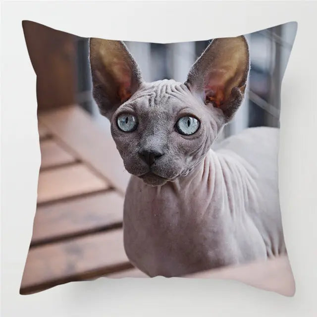 Housse de Coussin Moderne PEACHY 17Style