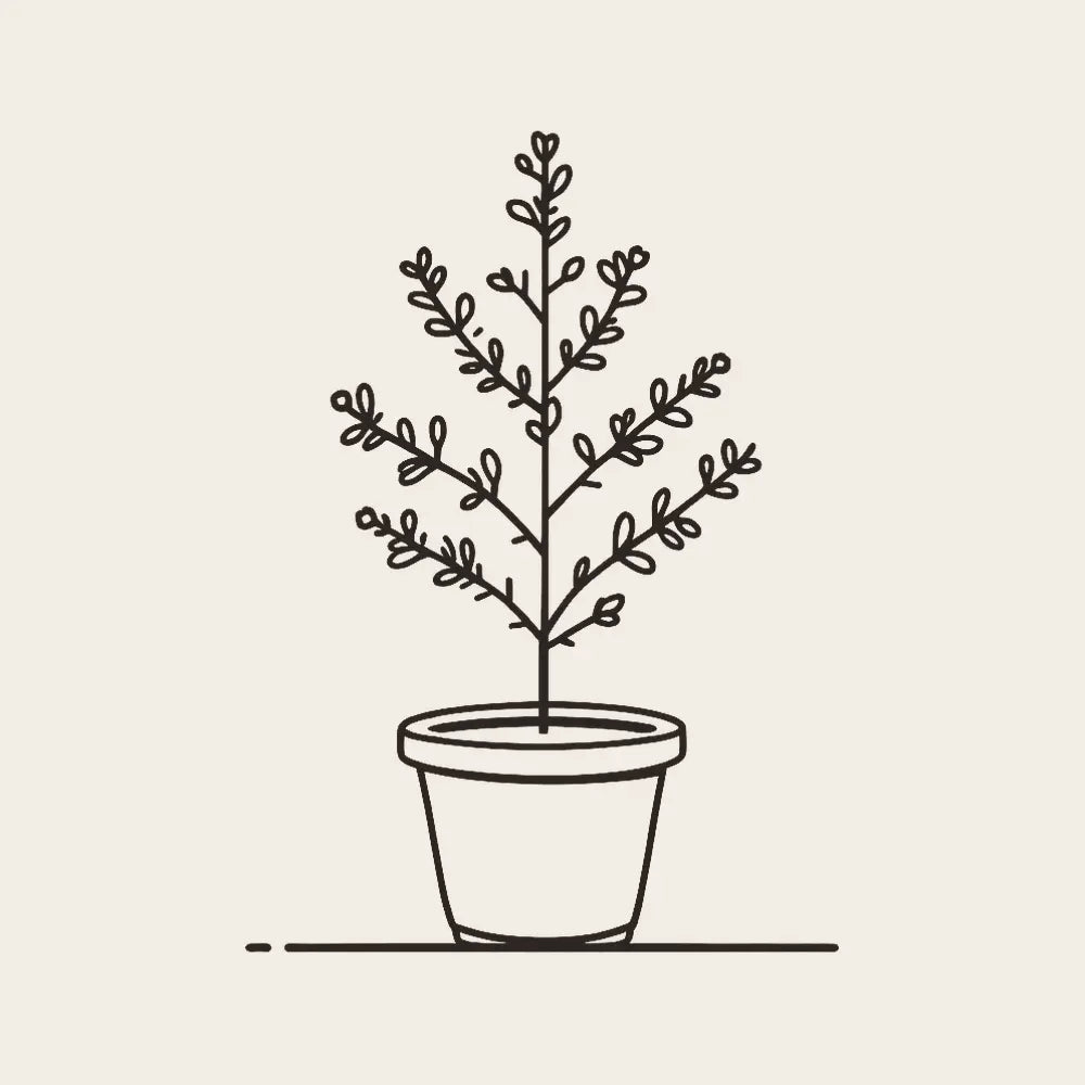Voiles et housses d’hivernage pour plantes et arbustes - Housse de France