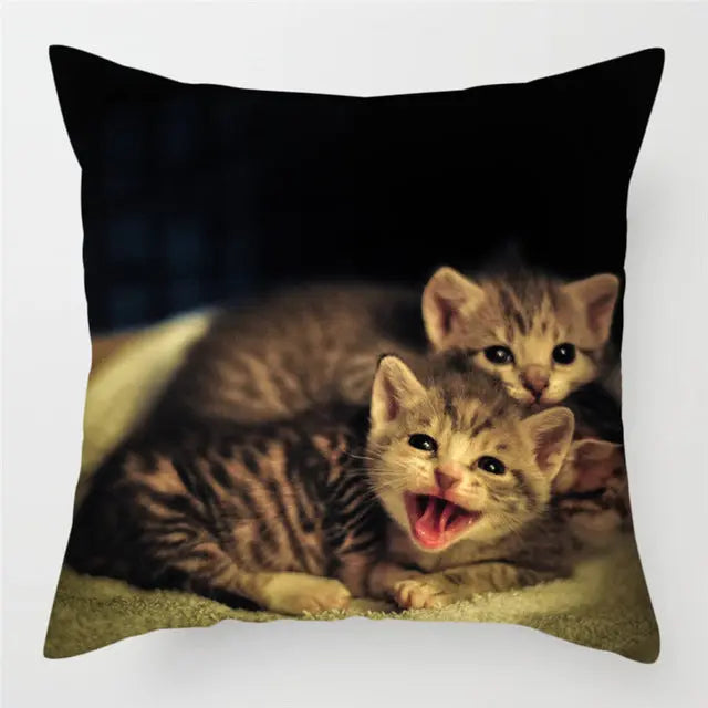 Housse de Coussin Moderne PEACHY 16Style