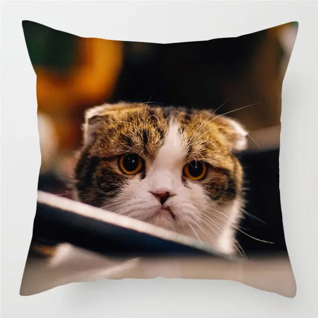 Housse de Coussin Moderne PEACHY 15Style