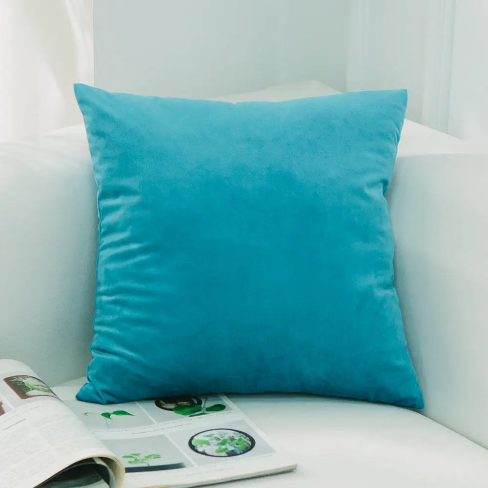 Housse de Coussin Velours FELIO 63Qingbi-50x50cmWithout Core